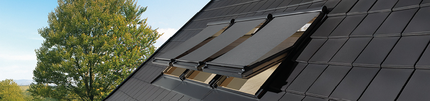 Netzmarkise AMZ Komfort